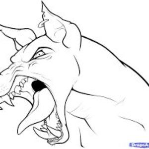 Meet your Posher, Cameron